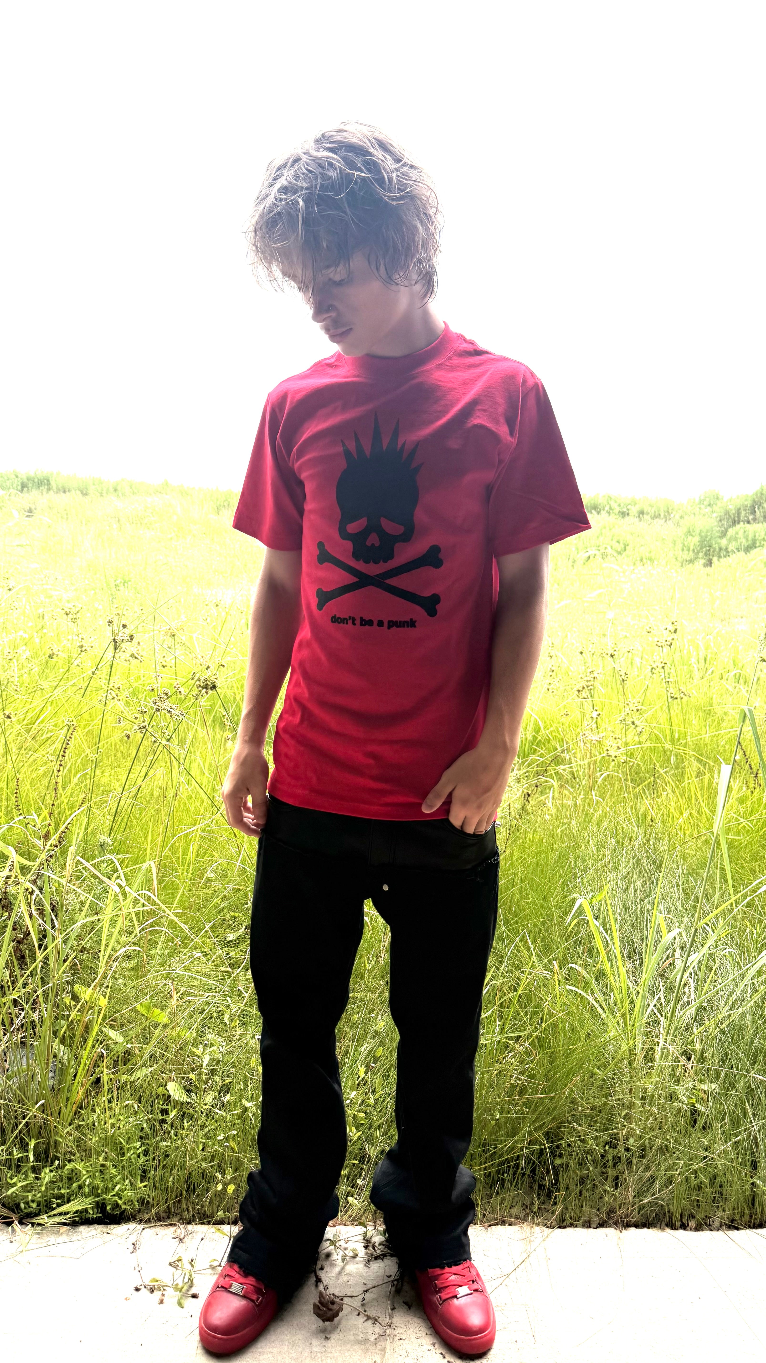 “don’t be a punk” tee